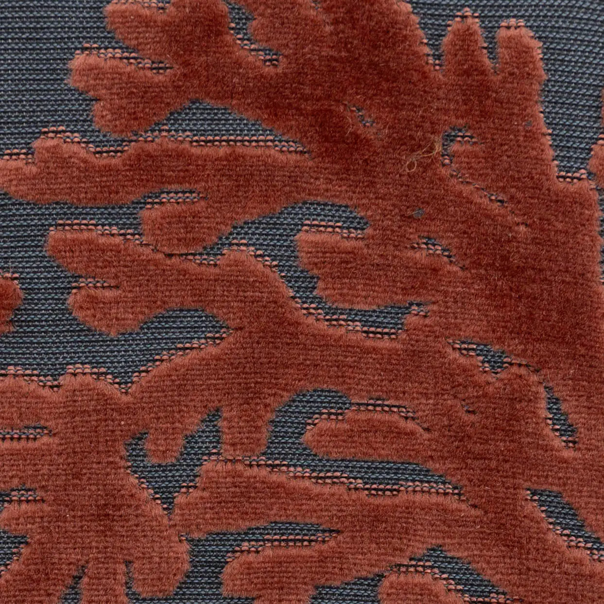 Burnout Velvet St Tropez Scuba Coral Checkbook Cover of America specifics