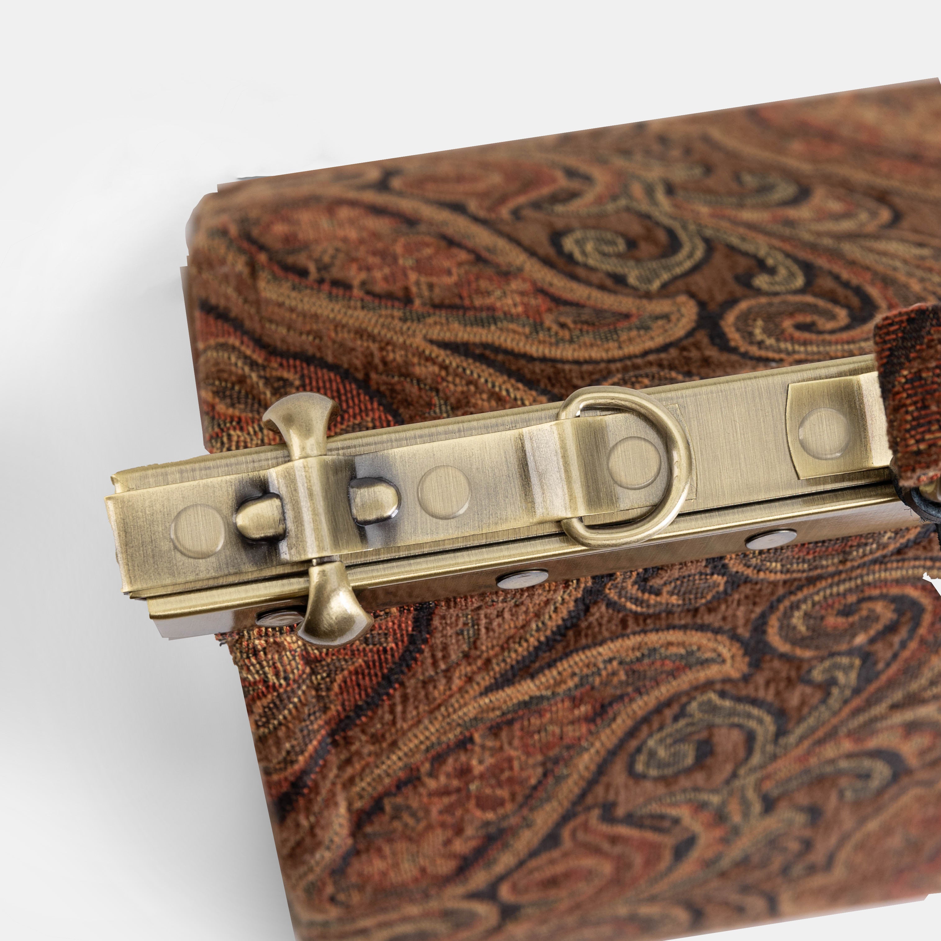 Damask D. Brown Celine Carpet Gladstone Bag of America frame