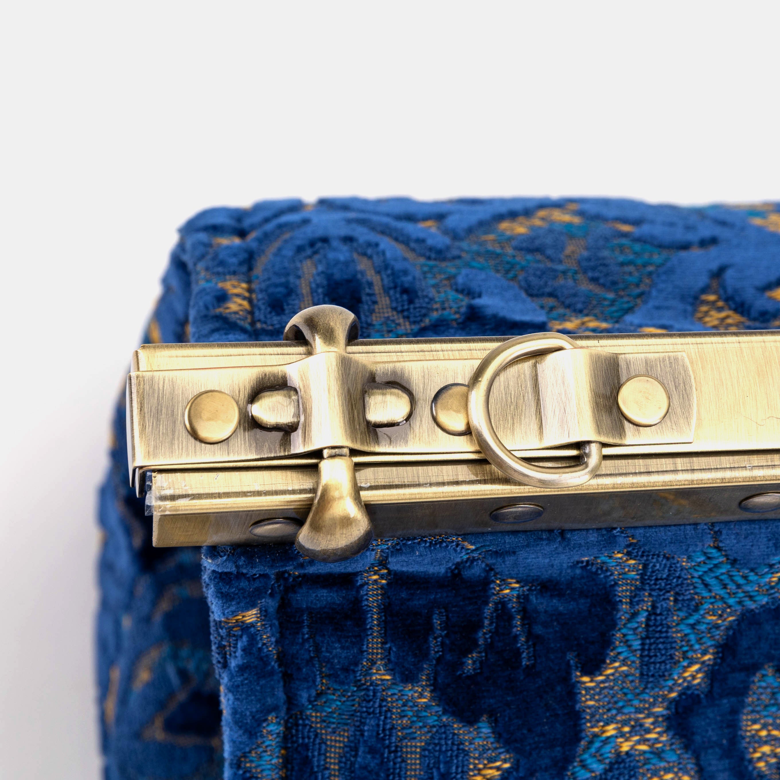 Burnout Velvet Navy Celine Carpet Gladstone Bag frame