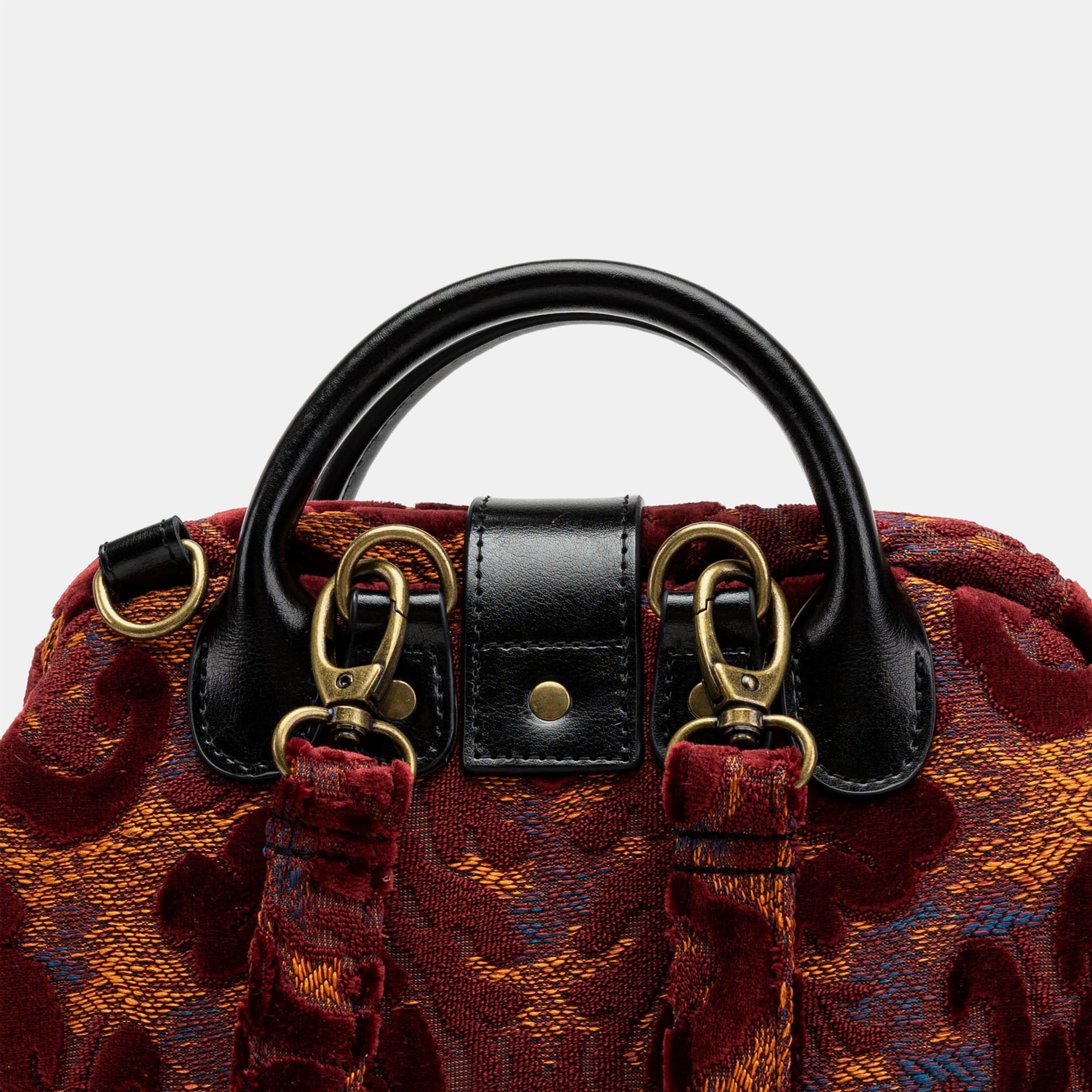 Everyday Backpack Burnout Velvet Wine back detail