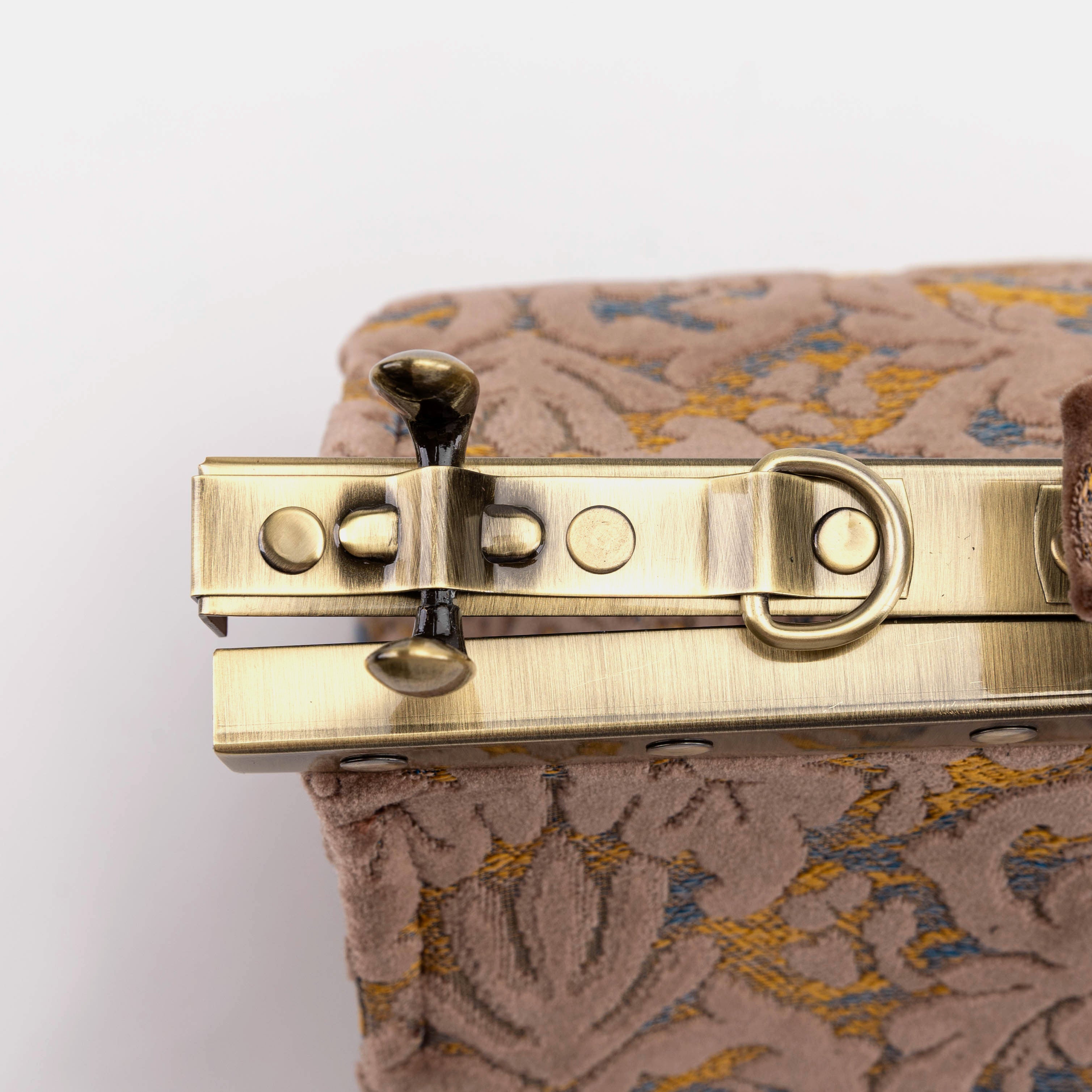 Burnout Velvet Camel Celine Carpet Gladstone Bag frame