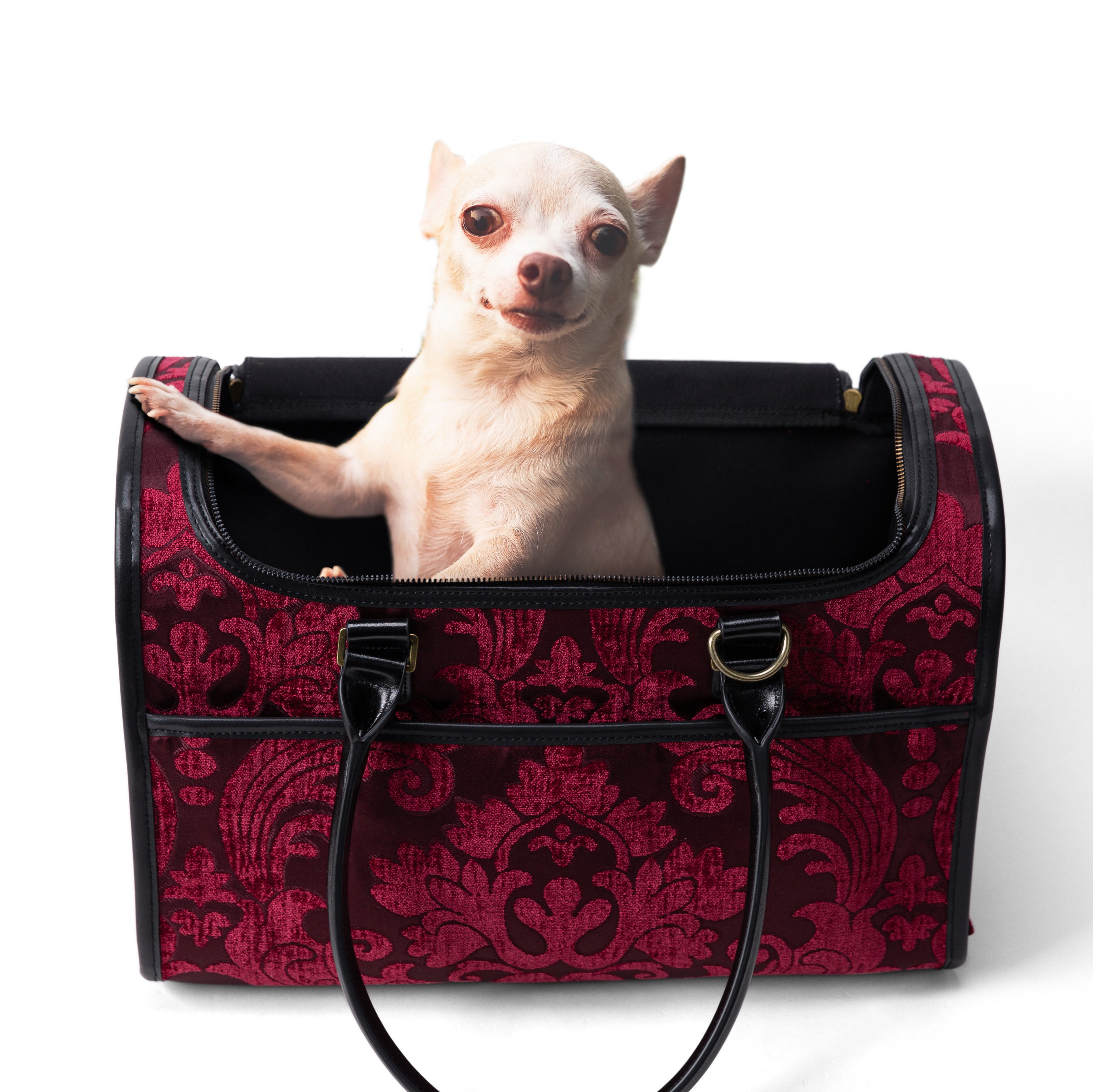 Travel Dog Carrier Bag Queen Wine of America in use